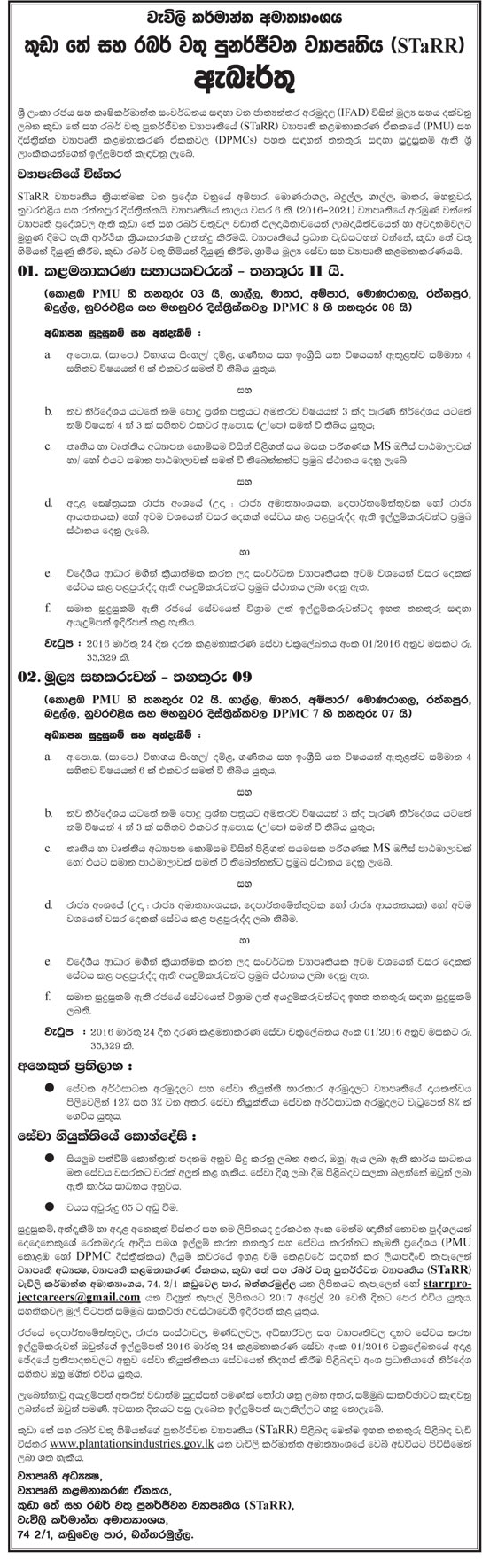 Management Assistant, Financial Assistant - Ministry of Plantation Industries